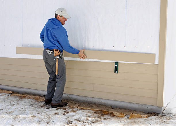 Best Stone Veneer Siding  in Long Beach, IN